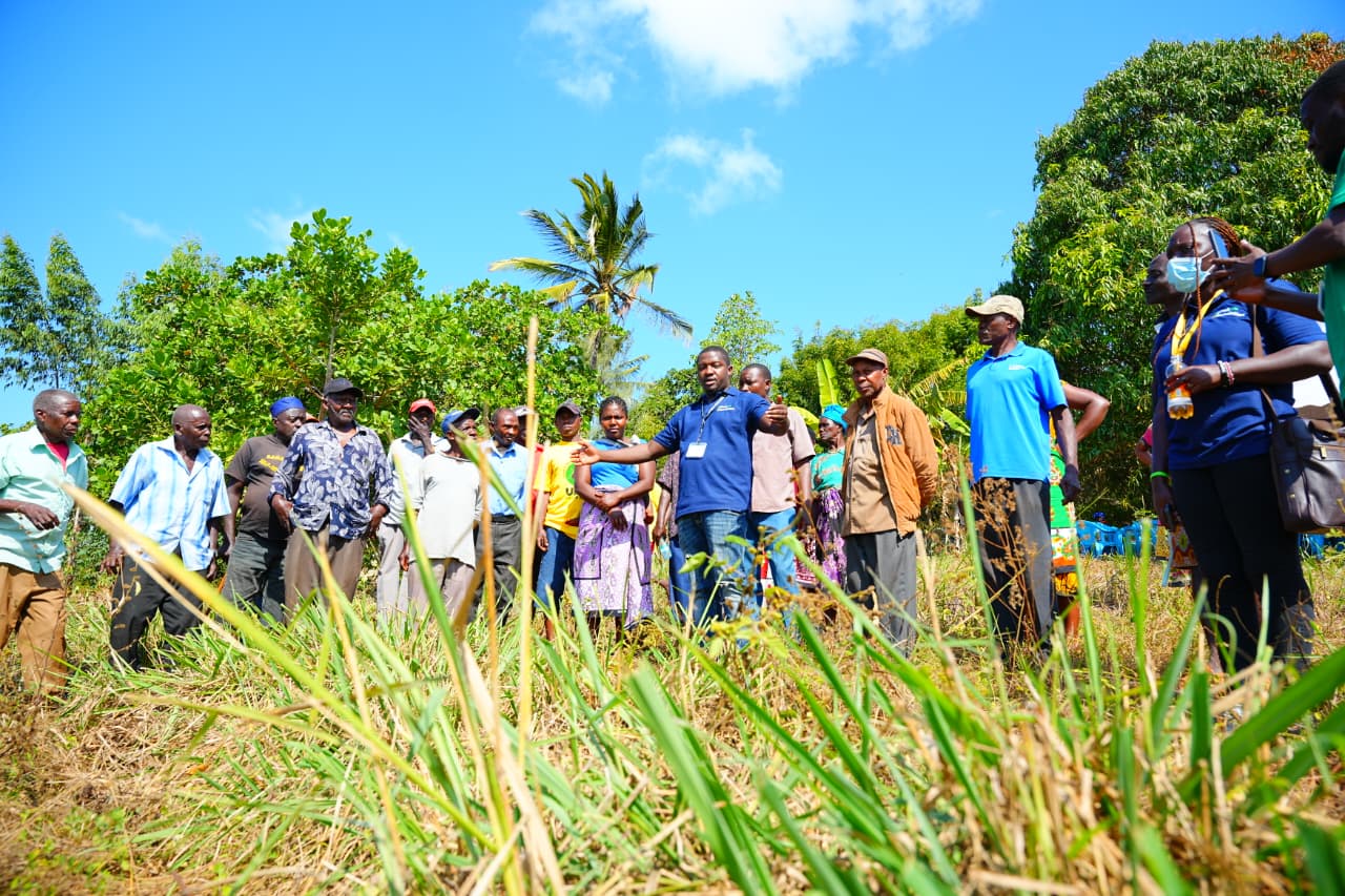 Zeinabiya Foundation field work photograph 28